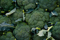 cancer-fighting-broccoli